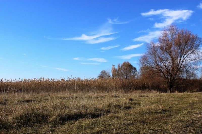 Нижньосульський національний природний парк