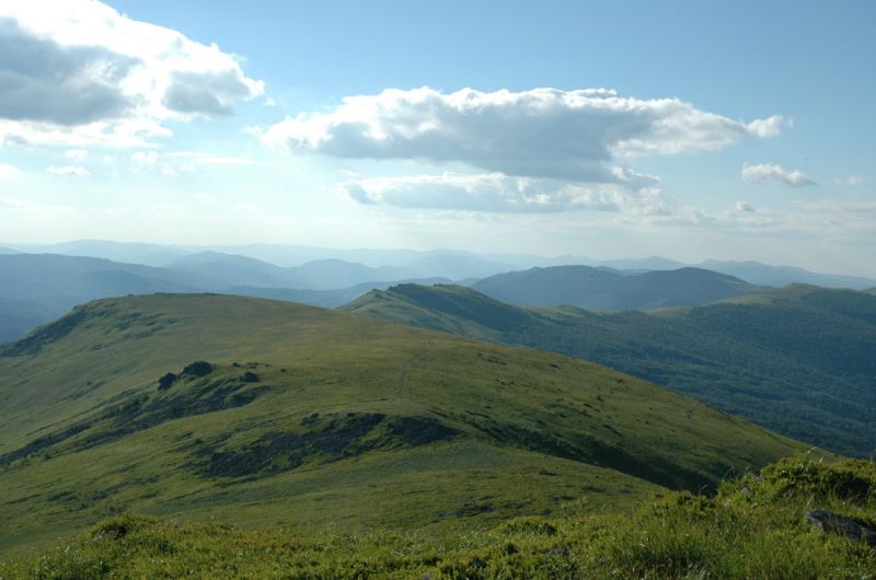 Буковецкая полонина 