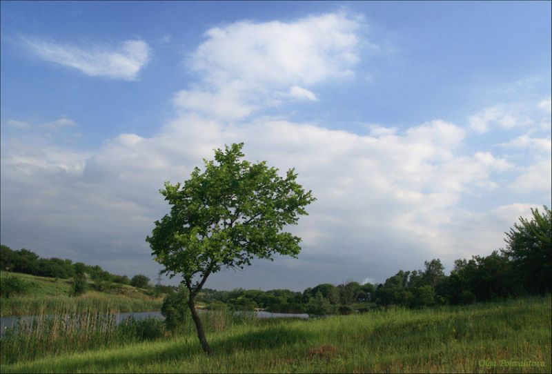 Лісопарк, Діївка