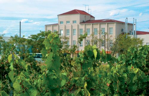 The winery of Koblevo