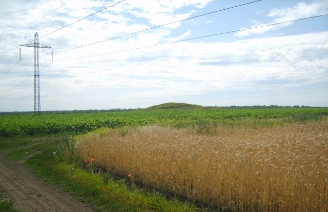  Mound of the Grave-Natalia, Zaporozhye 