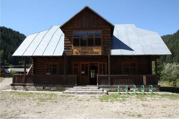  Grushevsky Museum, Krivorovnya 