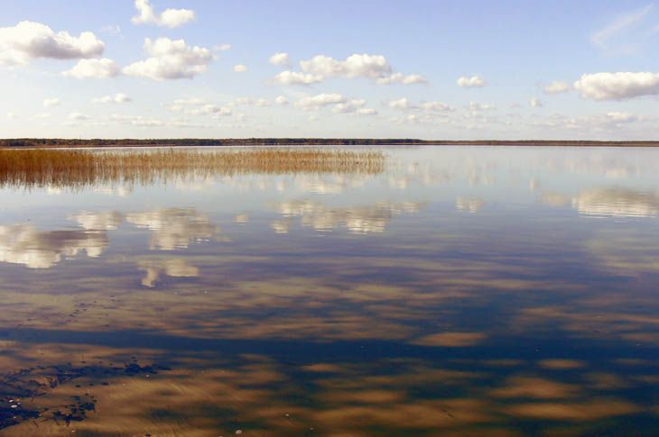  Озеро Світязь 