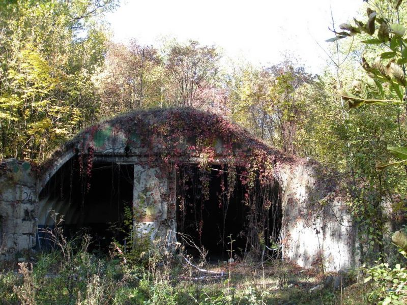 Mohnachansky Forest