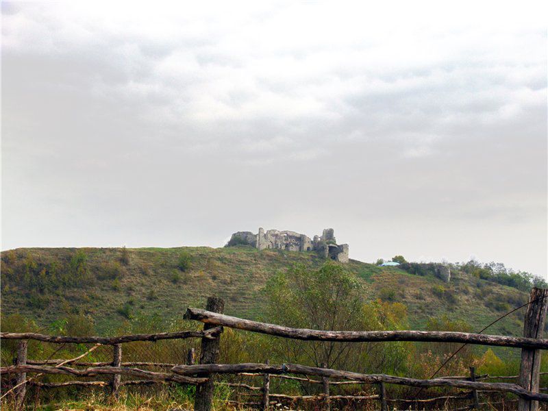 Чернокозінецкій замок, Чорнокозинці