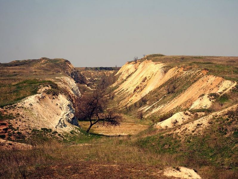 Дружковский каменный лес