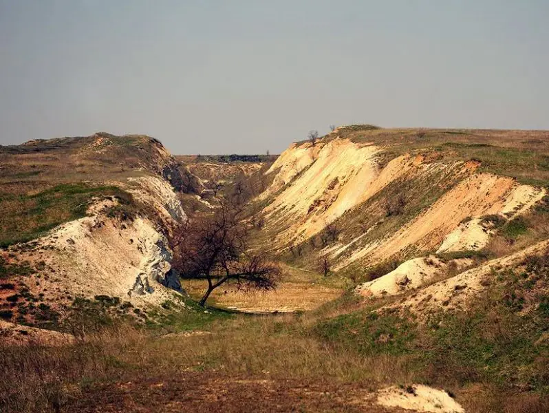 Дружковский каменный лес