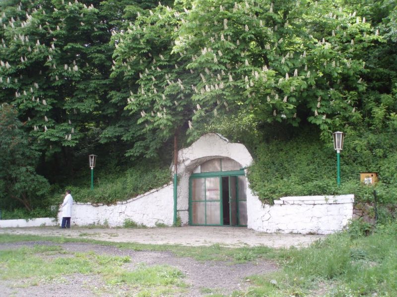 Подвалы винно-коньячного завода Закарпатский сад