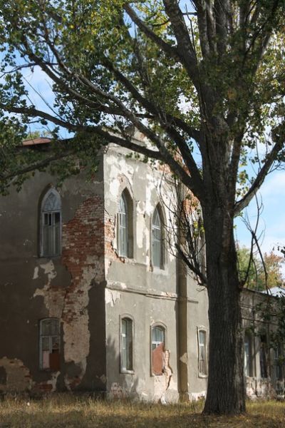 The former manor of Svyatopolk-Mirsky