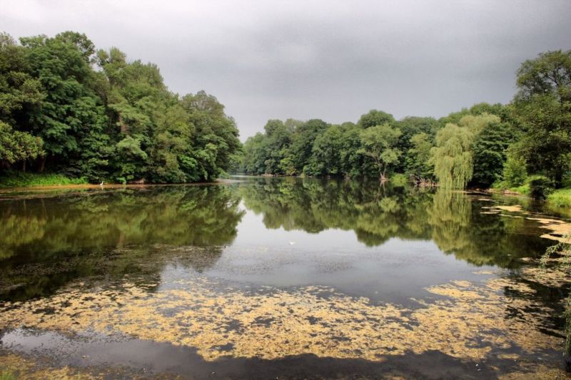 Zgurovsky Park