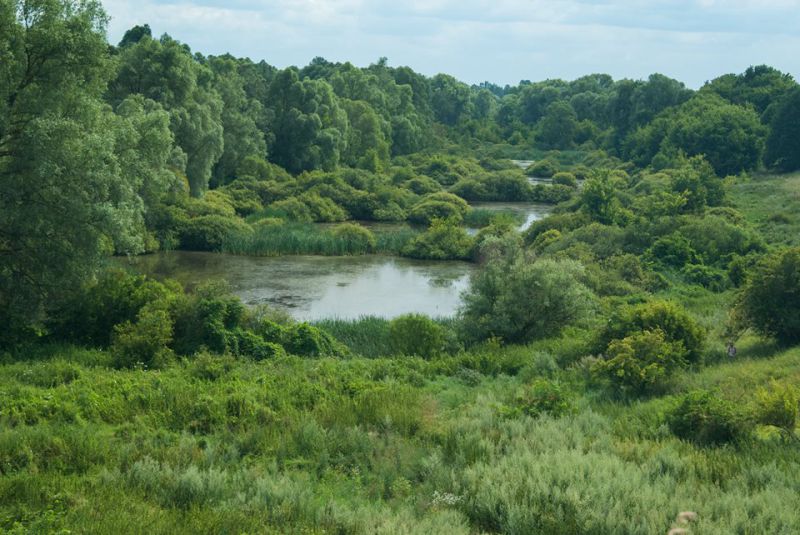  Природний парк Пирятинський 