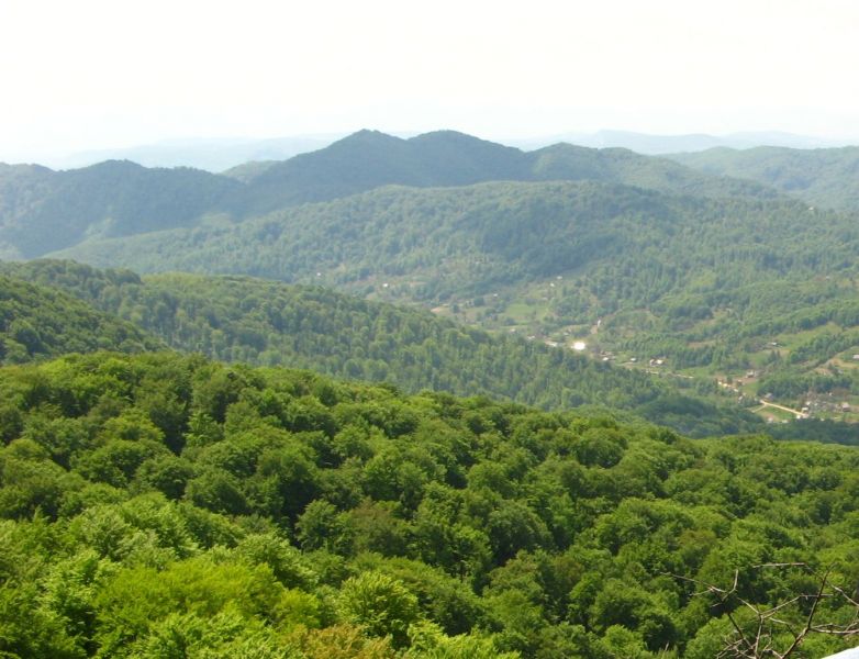 Ugol-Shirokoluzhansky reserve