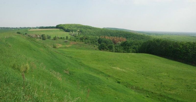 Ботанічний заказник Котова