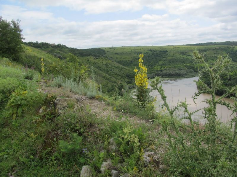 Китайгородский разрез, Китайгород