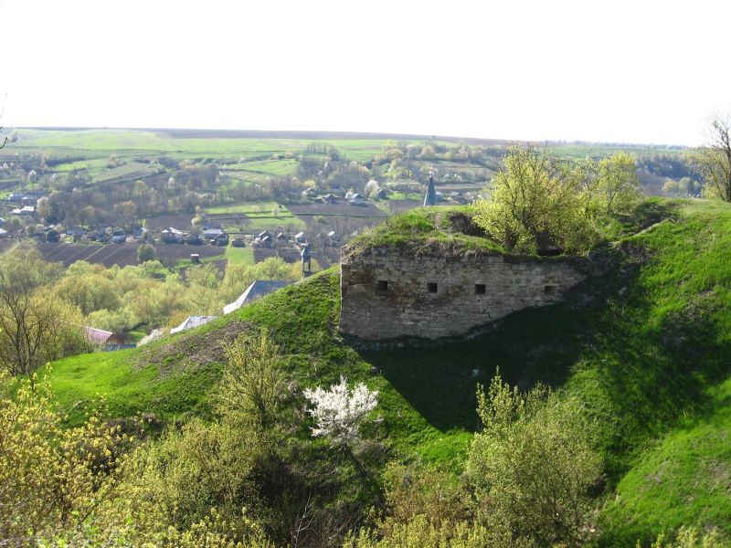 Зиньковский замок (руины)