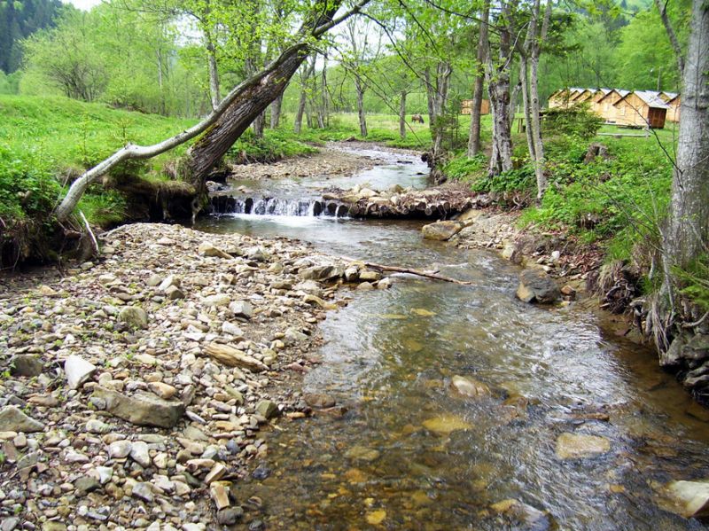 Вижницкий национальный парк, Берегомет