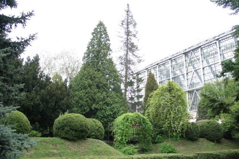 Ботанический сад имени Александра Фомина