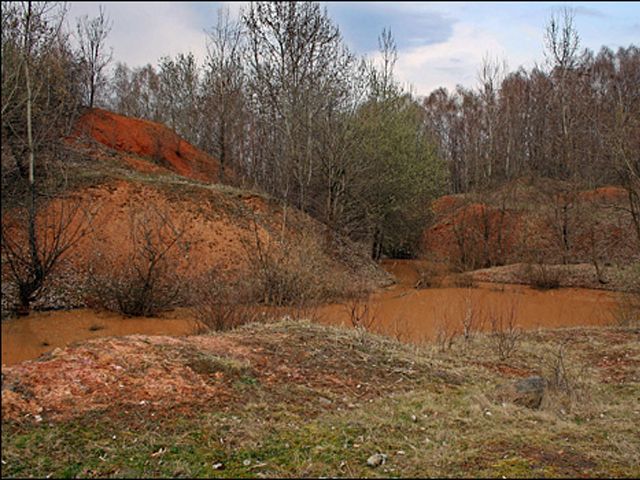 Заказник« Чорна Гора »