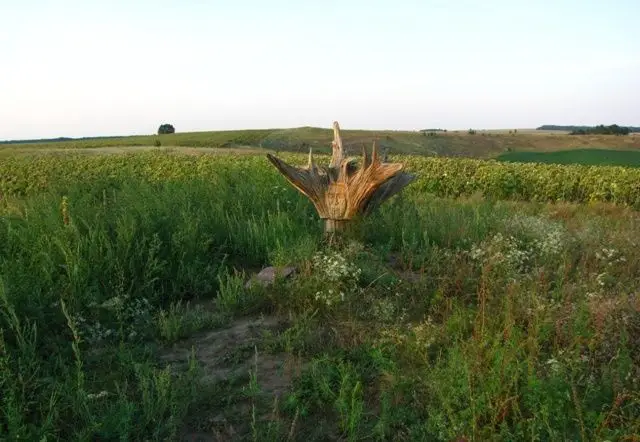 Курган скифских времен, Великая Яблоновка