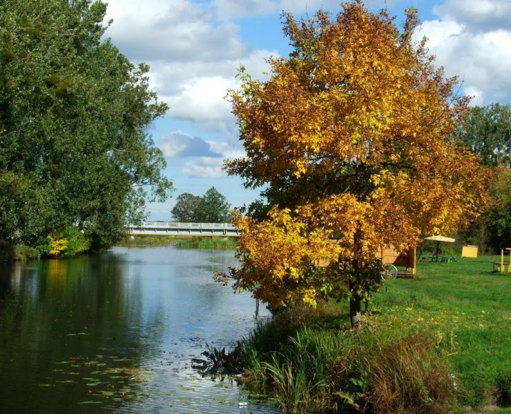  Shevchenko Park, Kovel 