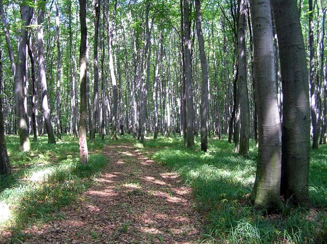 Galician National Nature Park