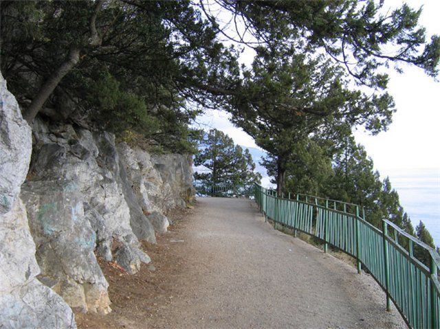  The royal path 