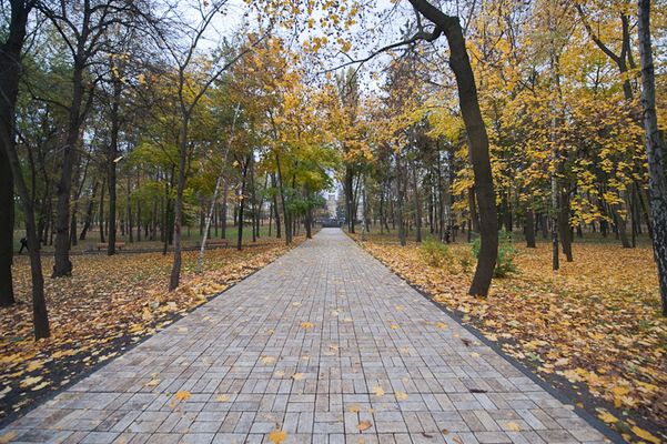 Park of the Kiev Polytechnic Institute