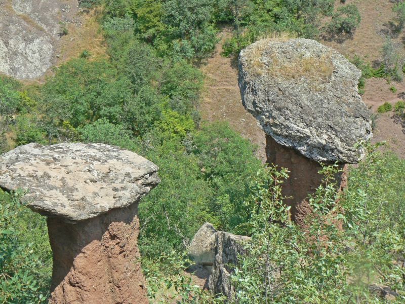 Stone Mushrooms (Sotera Valley)