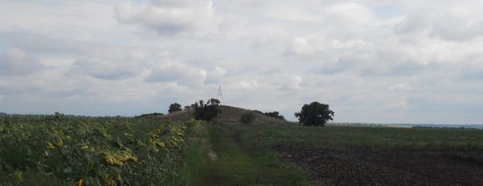 Курган Могила Плесовая, Запорожье