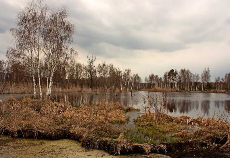 Ірдинське болото