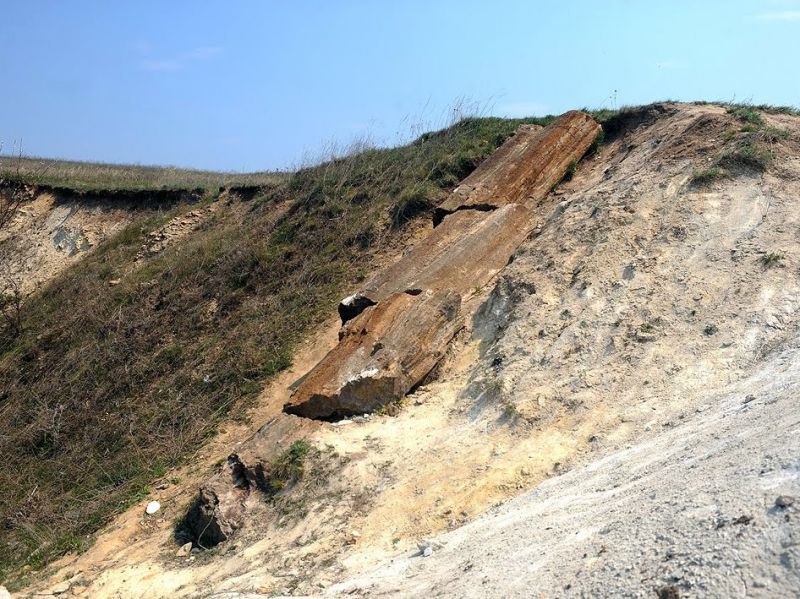 Дружковский каменный лес