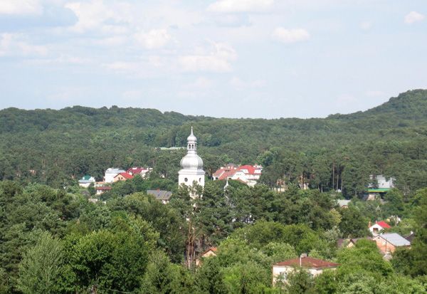 Брюховичский лес