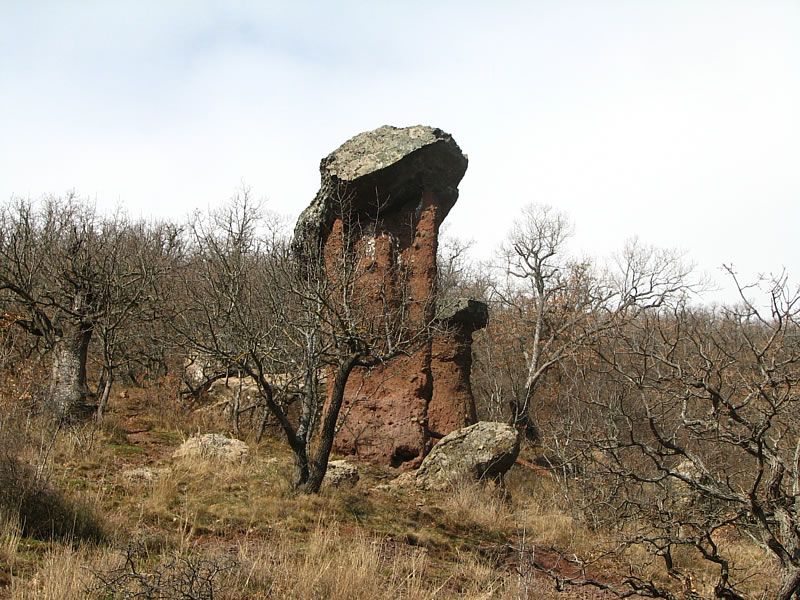 Каменные грибы (Долина Сотеры)