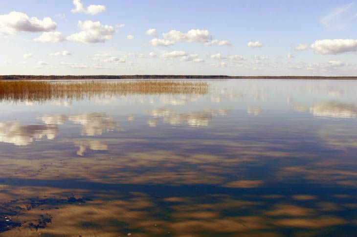 Шацький національний природний парк