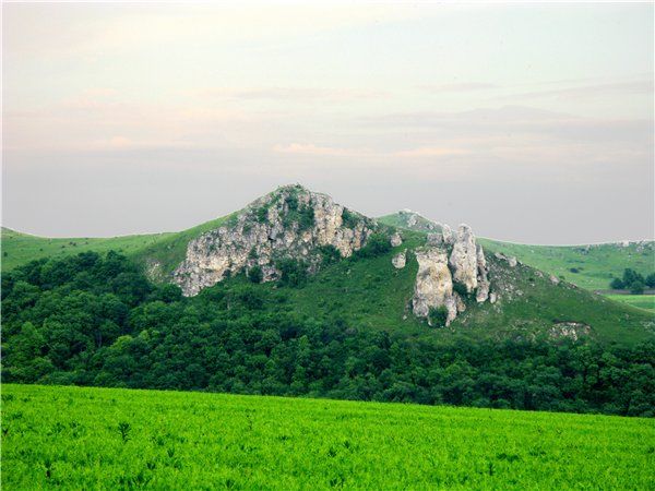 Shishkovye hills