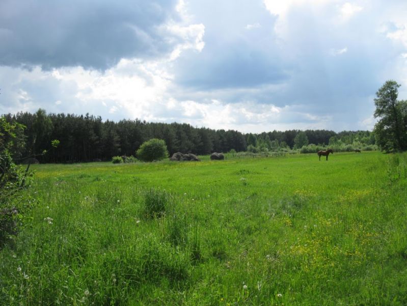 Ландшафтний заказник Згоранські озера