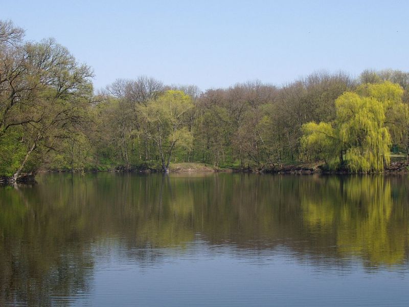 Zgurovsky Park