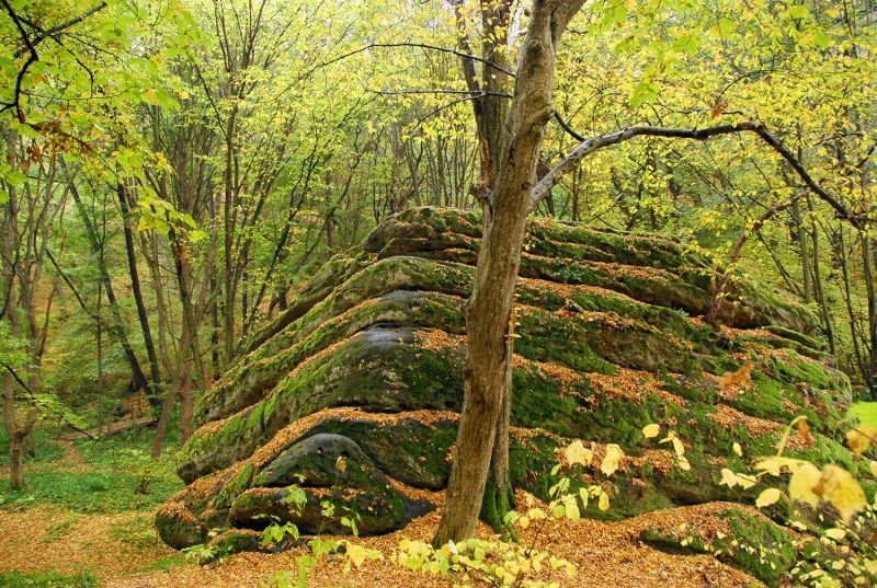 Урочище« Гайдамацький яр »