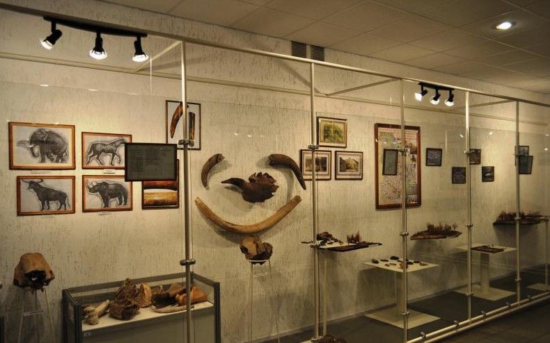 Областной археологический музей