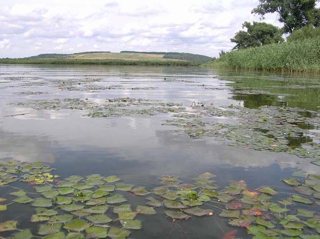  Галицький національний природний парк 