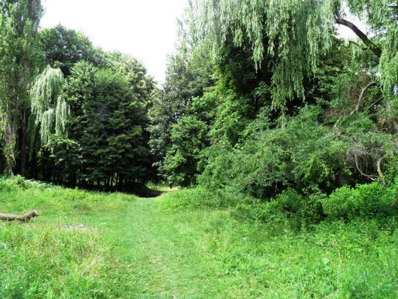Ботанічний сад Волинь, Луцьк