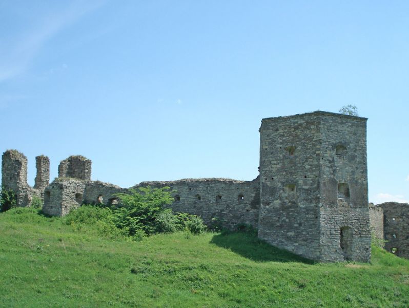 Кудринецкий замок, Кудринцы