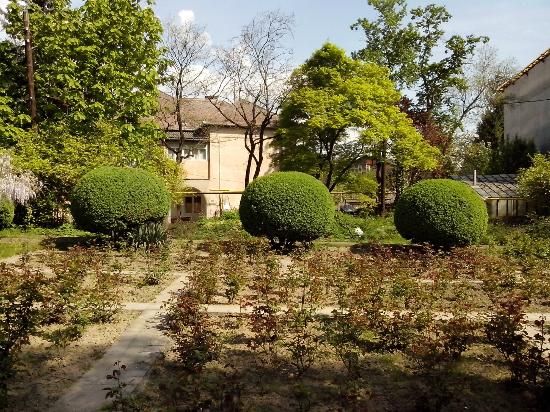 Ботанический сад Ужгородского национального университета