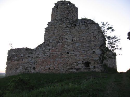 Епископский замок, Чорнокозинцы