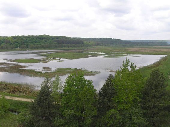 Яворовский национальный природный парк