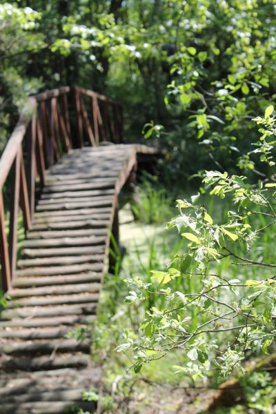 Interregional regionLandscape Landscape Park 