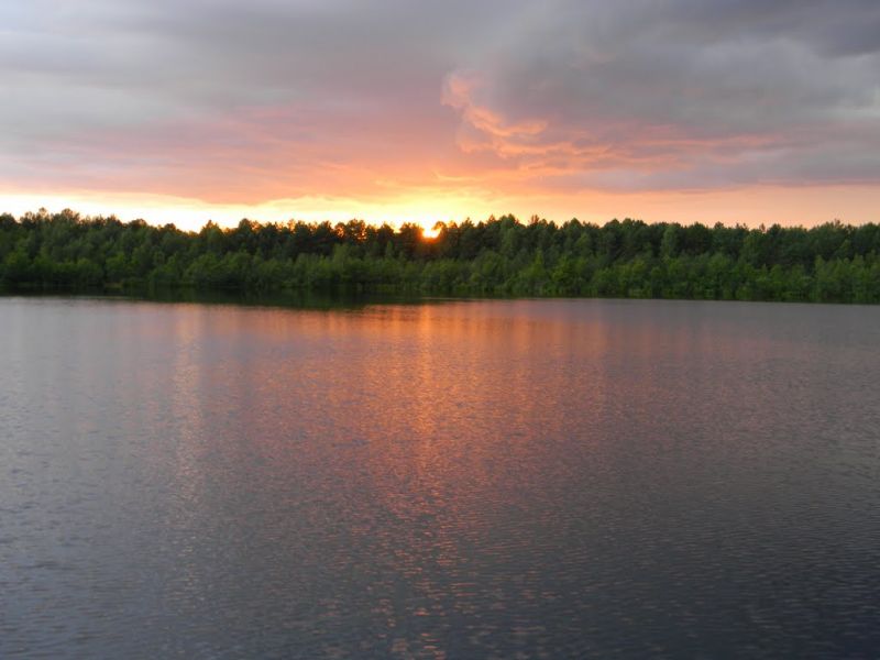 Гідрологічний заказник Вижевскій