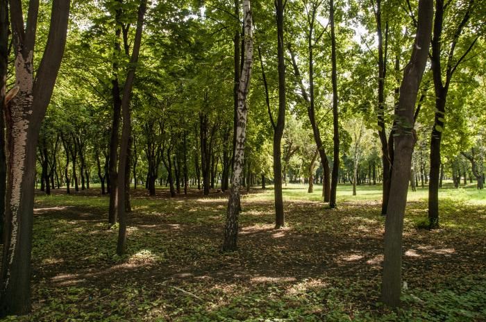 Парк Шахтобудівників, Донецьк