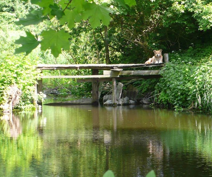 Трояновський водоспад