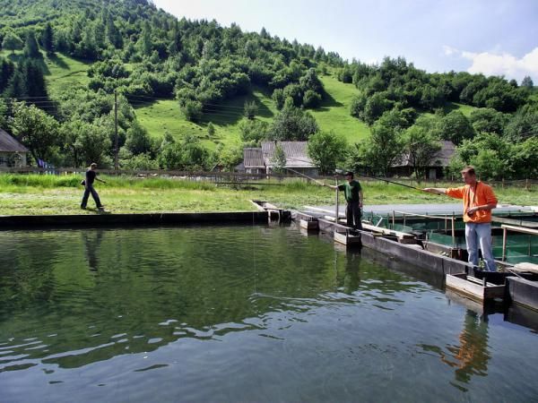 Форелевые пруды, Колочава